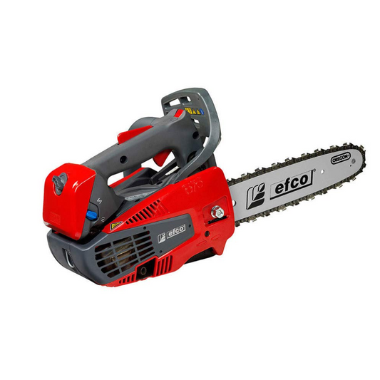 Motosega Da Potatura  EFCO MTT 2500 - 1.3 HP